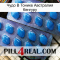 Чудо В Тонике Австралия Кенгуру viagra2